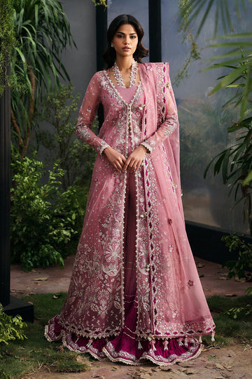 Afrozeh Seraira Online Shopping